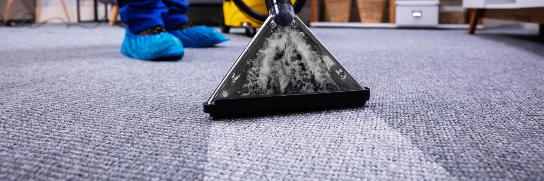 Commercial carpet cleaning and stain removal in Northeast Alabama